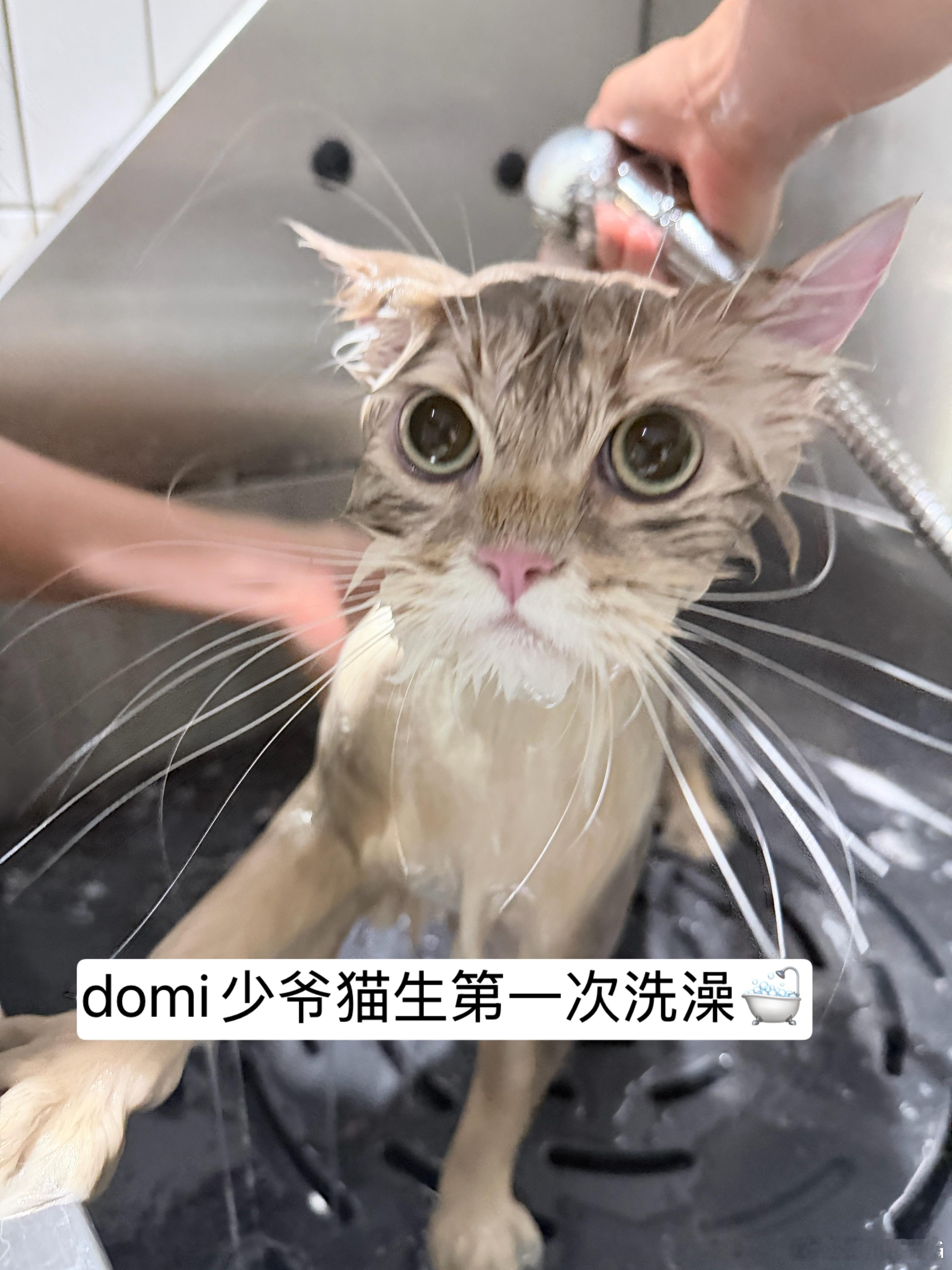 在生命中出现的人 绝非偶然 上海