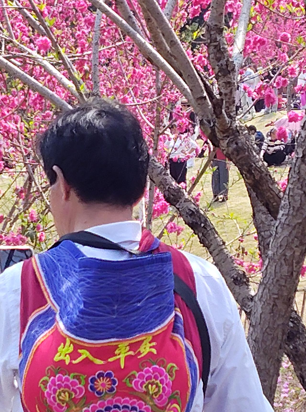 广西男人其好，在外能赚钱养家，在家能洗衣、做饭、煮菜、扫地、做针线活和带娃，女人
