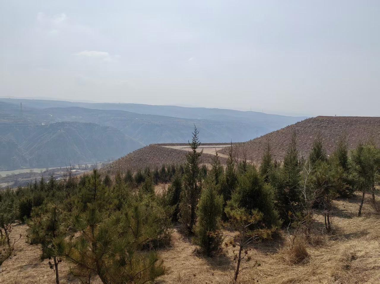 呼和浩特市小街道里有人卖的黄河鲤鱼是真正的黄河鲤鱼吗？昨天中午，在呼和浩特市赛罕