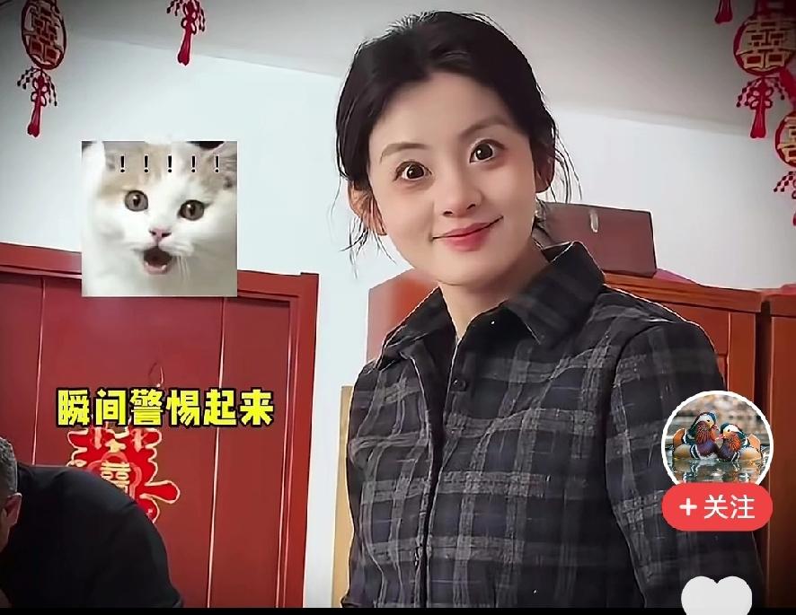 这个演员，这个眼神，学学六小龄童，肯定不错。非常有特点。