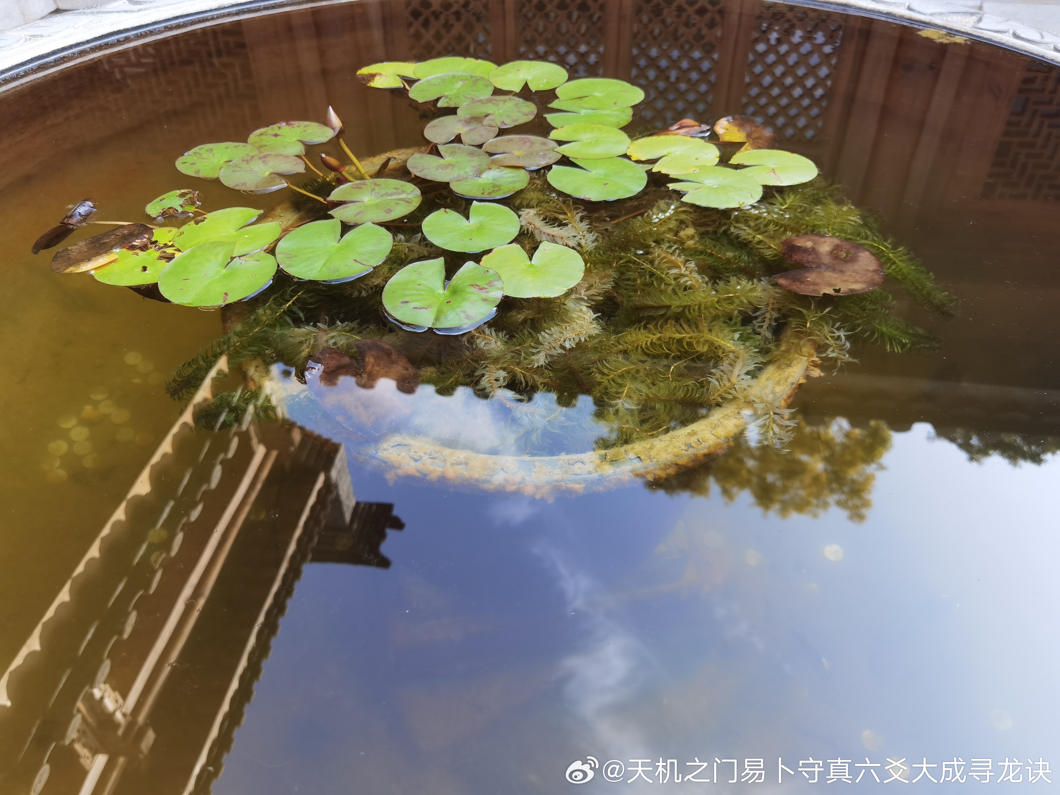 曾经犯错留有前科，心结难消的感情还能修复吗？来访者曾经在感情里犯下过错，伤害了对