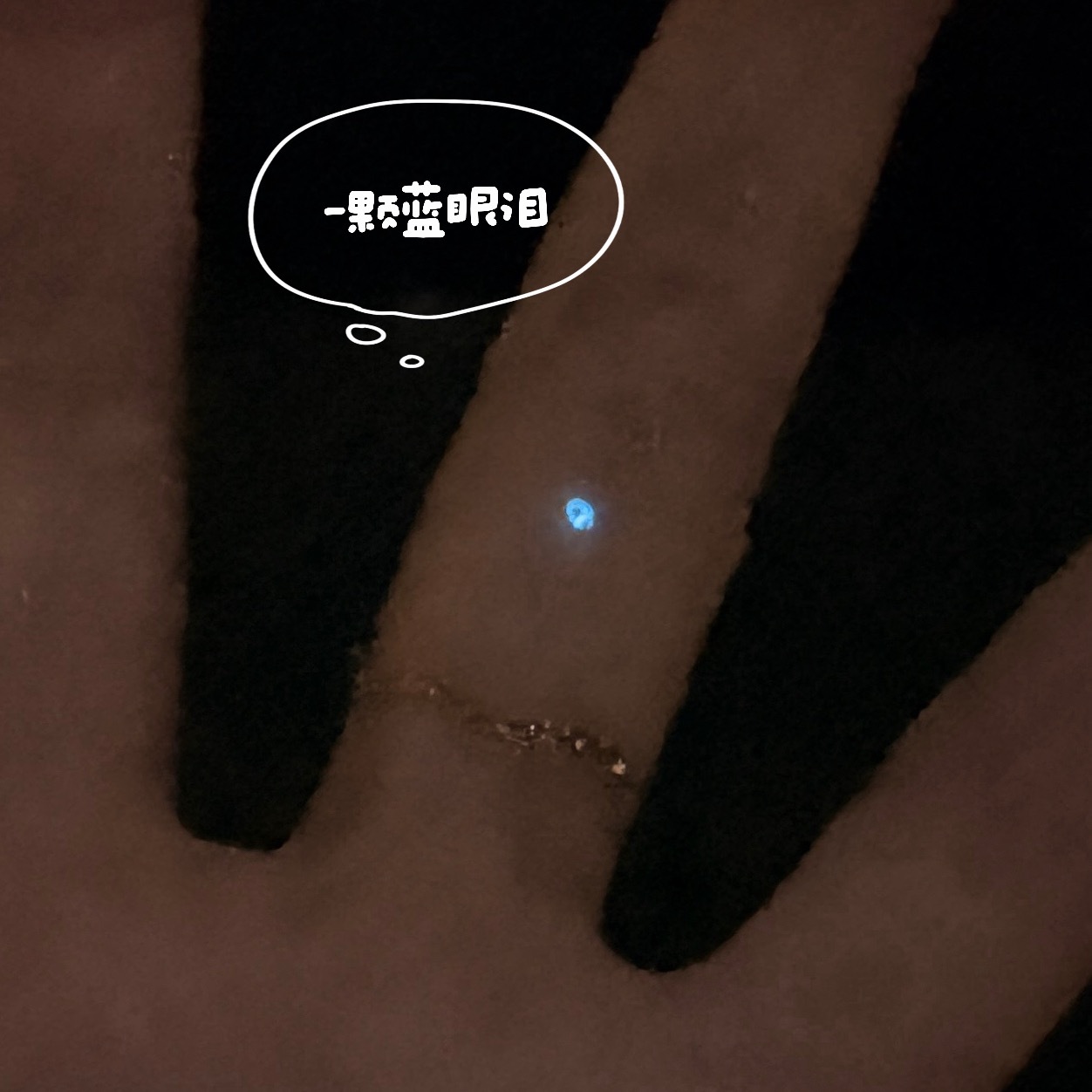 一颗蓝眼泪 