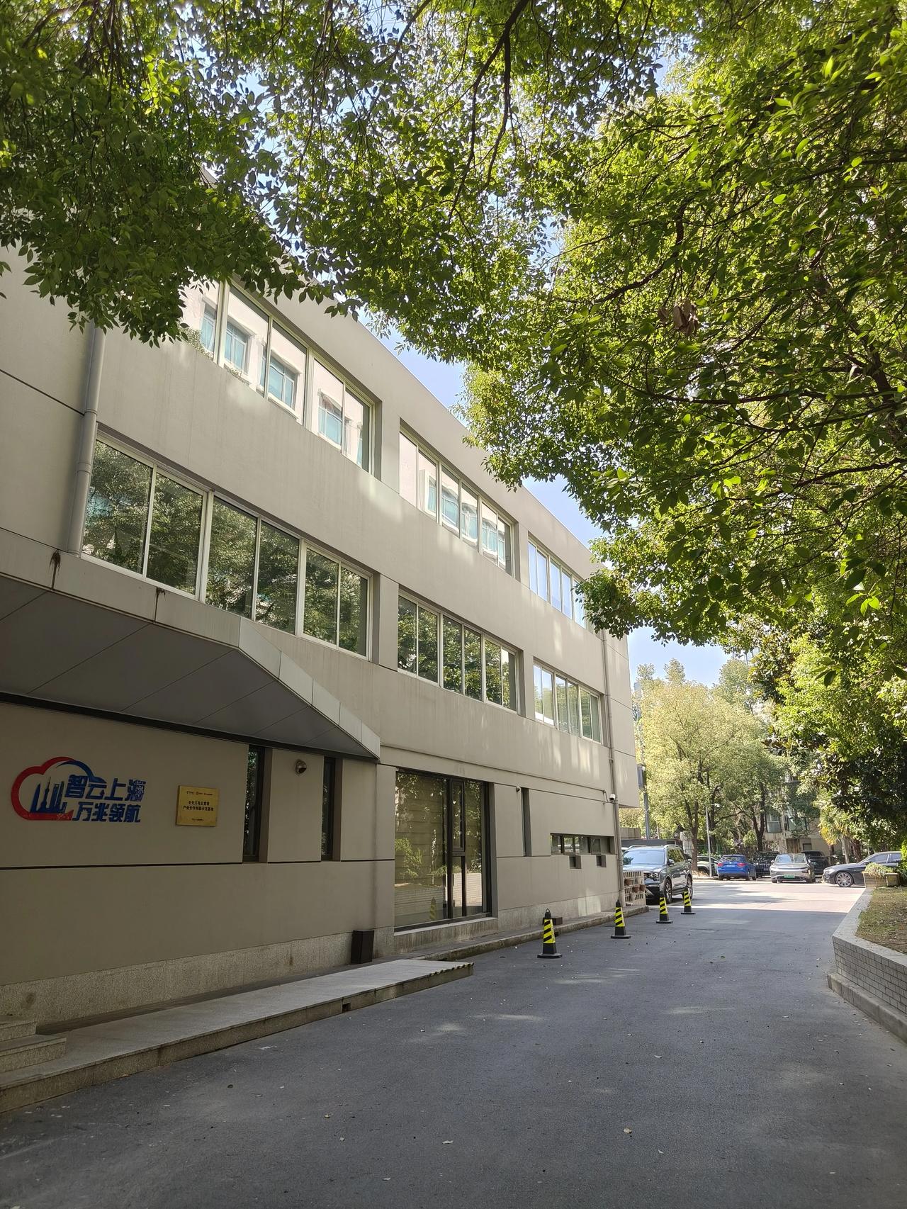 记忆是个不讲道理的东西。它总在花开的时节，把往事翻出来晾晒。