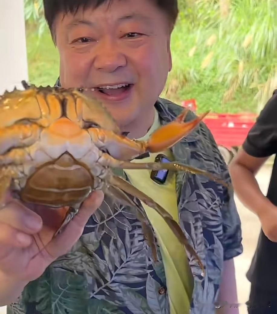 和乐蟹260元一斤，万宁美食真的贵得合理吗？

6月初，洪剑涛在万宁某网红餐厅点