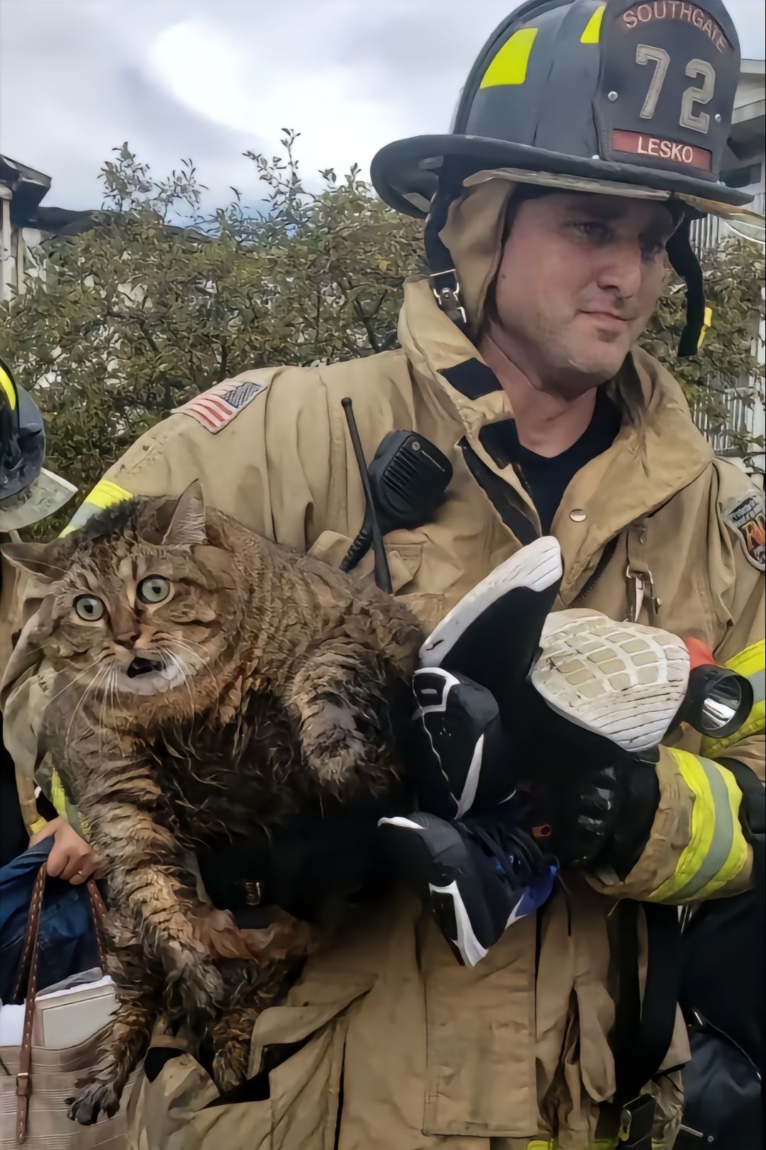 猫: 啊？我也在服兵役的名单里吗？[笑cry] 