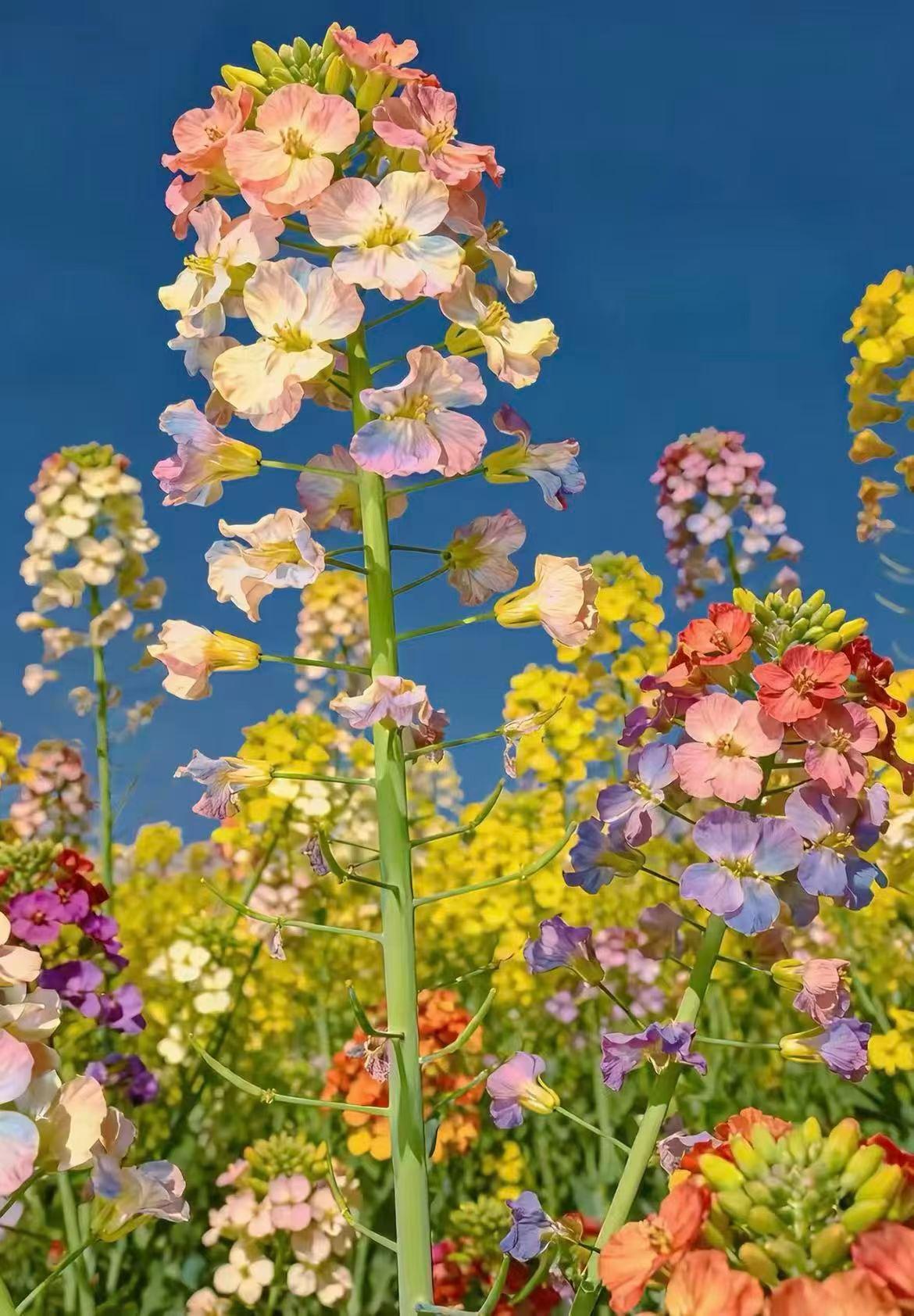 成年女性该如何保护自己？看过无数经典案例后，我说几句肺腑之言，都是血泪知识点：