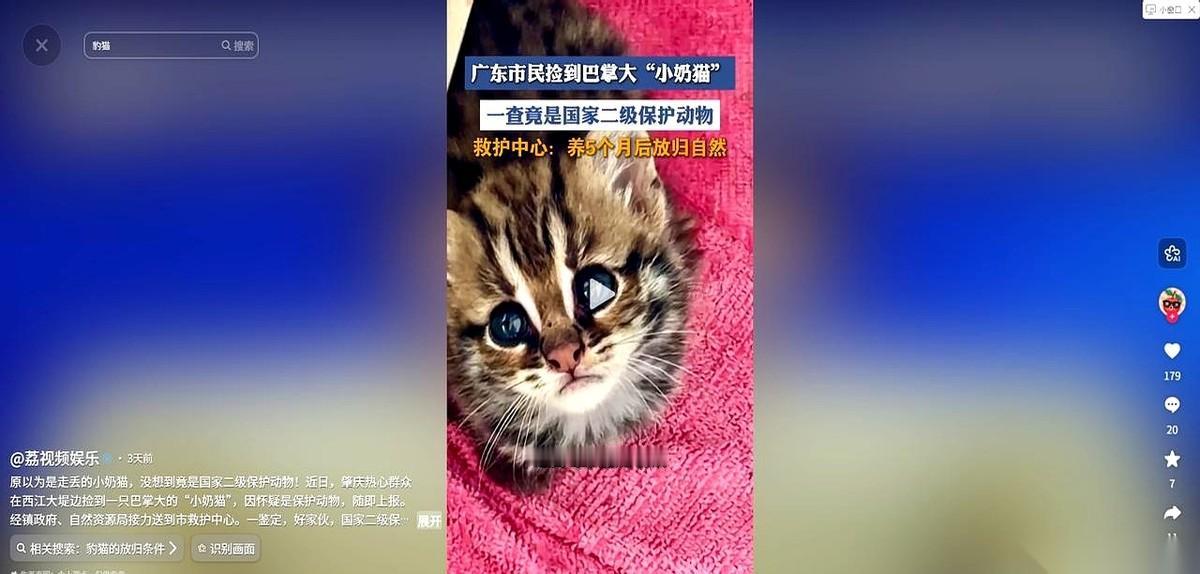 广东肇庆一个大哥，晚饭后在江边溜达，草丛里传来一阵细微的猫叫。
他扒开草一看，里