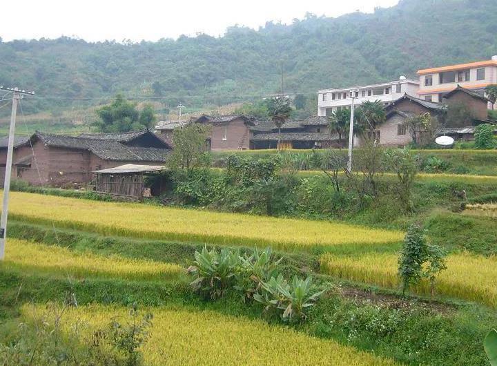 我要告诉你们，回农村不一定会那么糟糕。虽然农村的工资确实比城市低，但是生活的成本