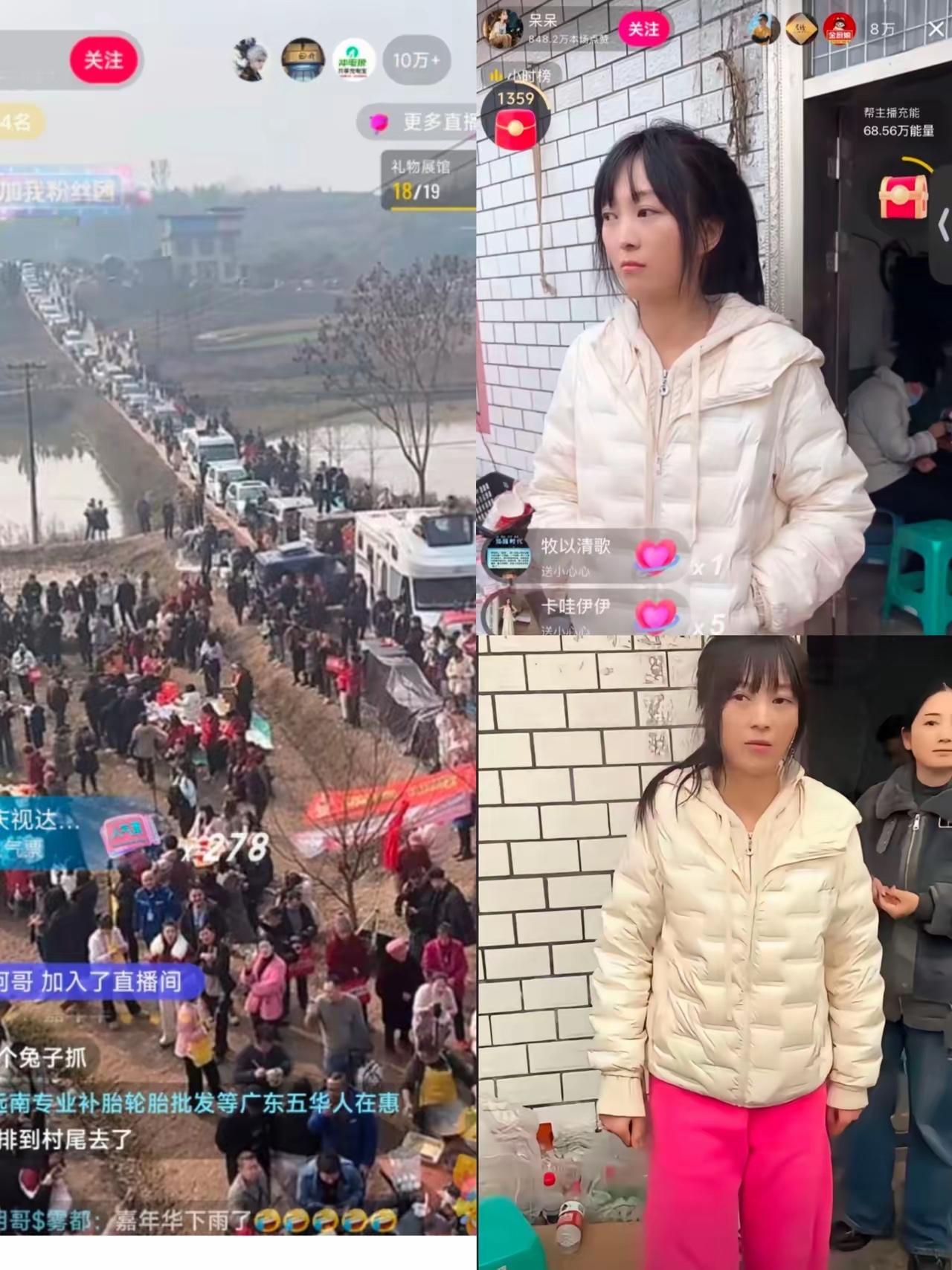 呆呆猪被说情商低、没脑子，但她的大方是真让人没法不承认。一句调侃喊网友来按猪，结