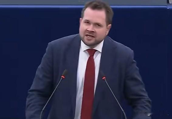 丹麦欧洲议会议员安德斯·维斯蒂森致特朗普:“让我用你能理解的话说：总统先生，滚开