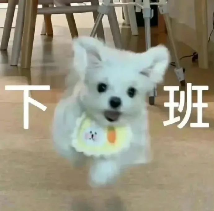 打工人专属表情包，尽情发疯 ​​​