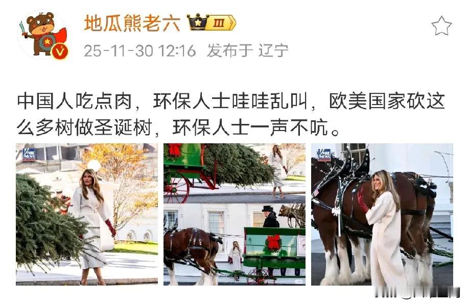 西方人过圣诞节，到处砍树，为没有看到那些环保人士出来反对一声，而中国人好不容易吃