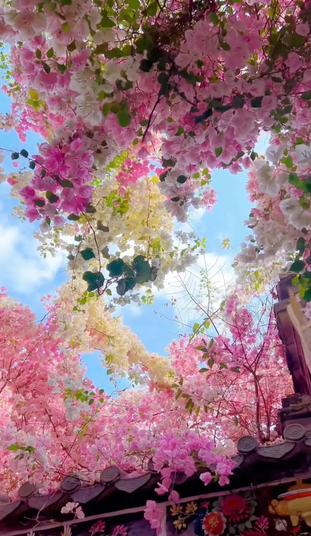 天南地北大拜年