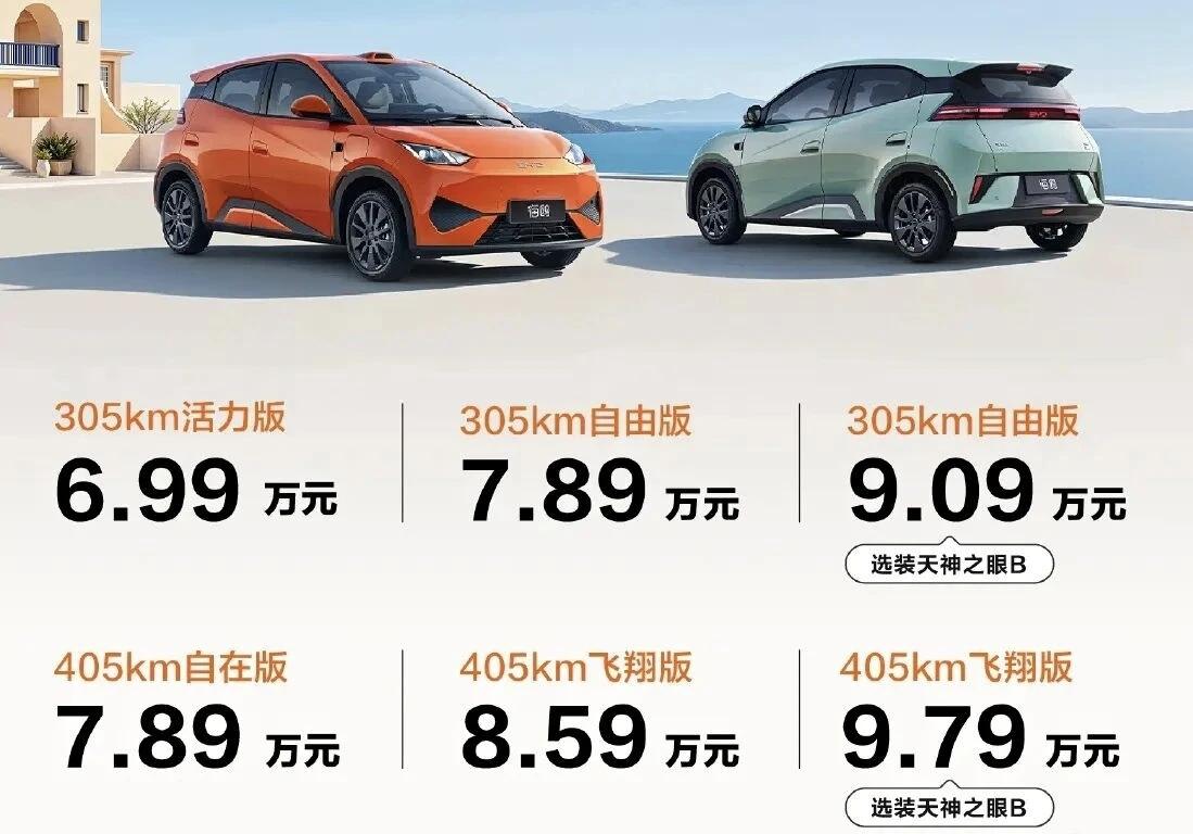 实话讲，海鸥这种微型车日常出行是真的好用，主要是小，在城市里面停车也好停，而且续