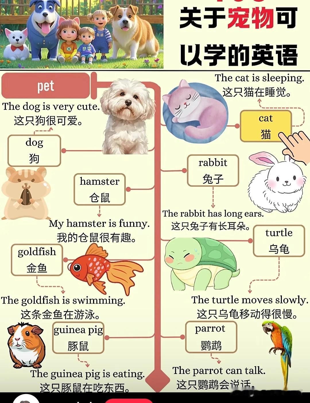 跟“宠物”有关的英语词汇