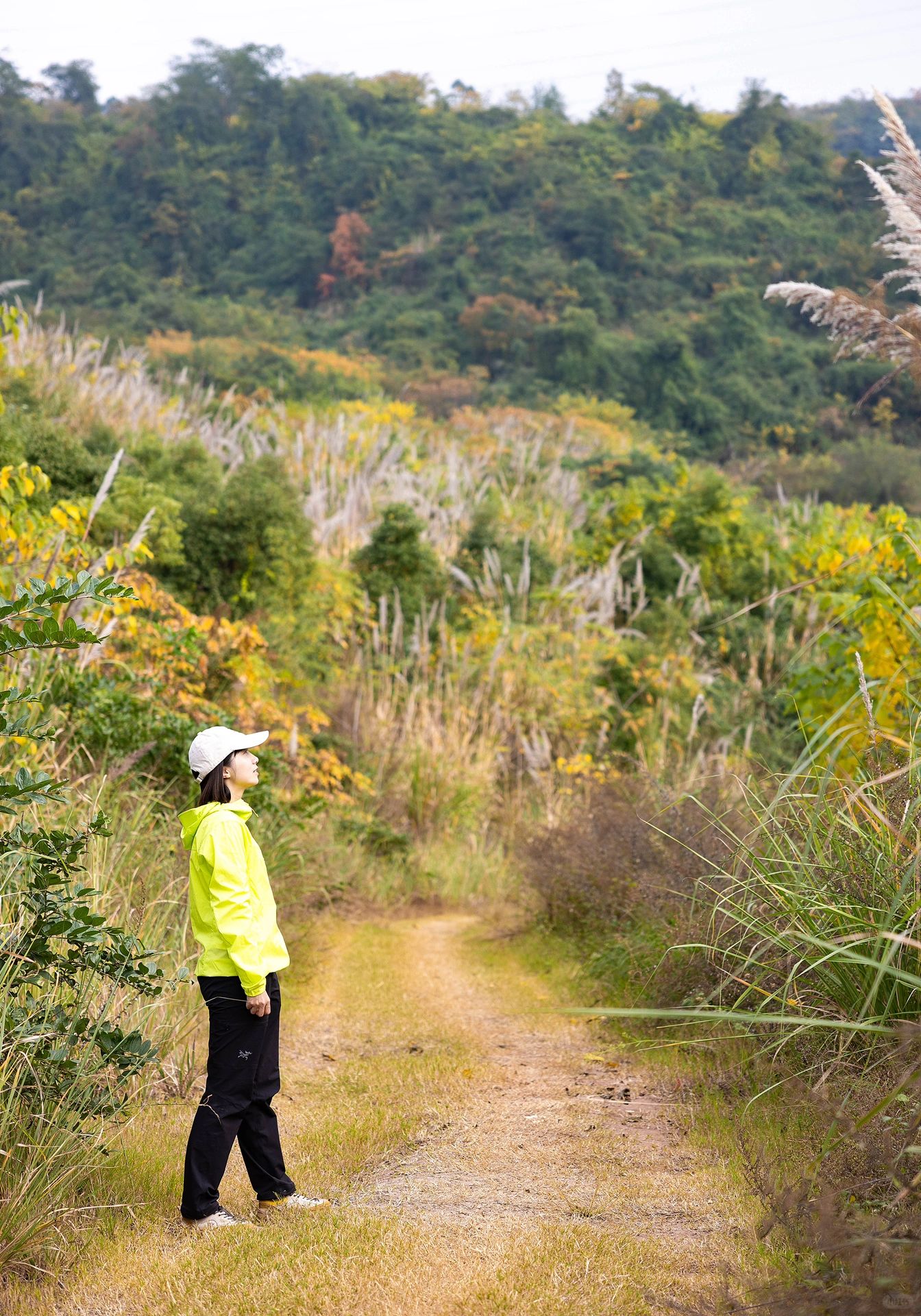 成都0.5h徒步🍃这是我走过最近最美的山野‼️