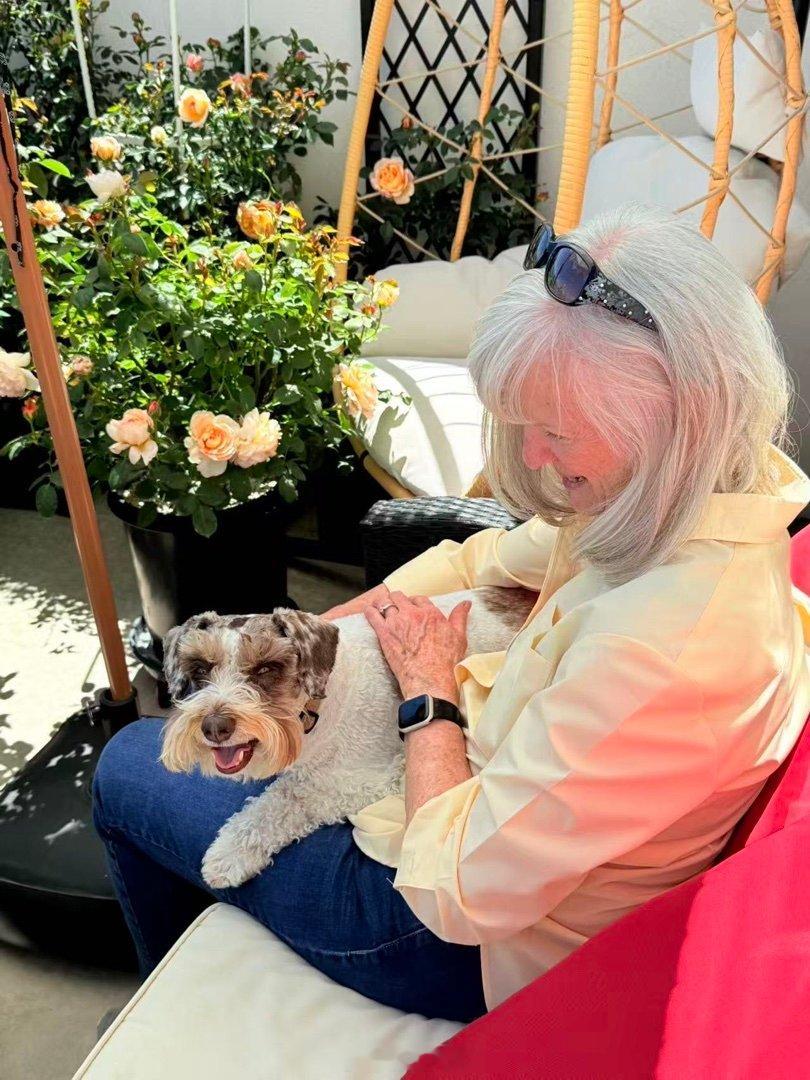 Grandma来访，吉哥好开心。他每星期四会回grandma家和自己的狗爸狗妈疯