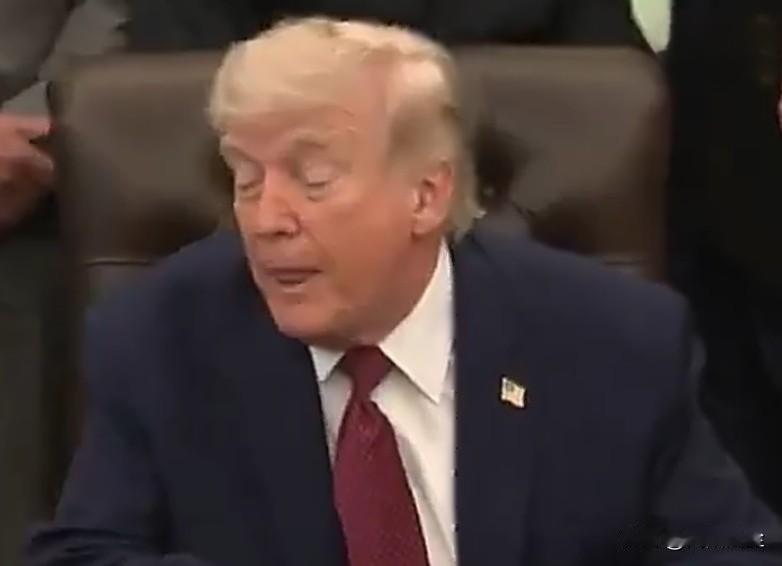 特朗普:“如果我是总统的话，我本可以很快赢得越南战争，我也能在同样时间里赢得伊拉