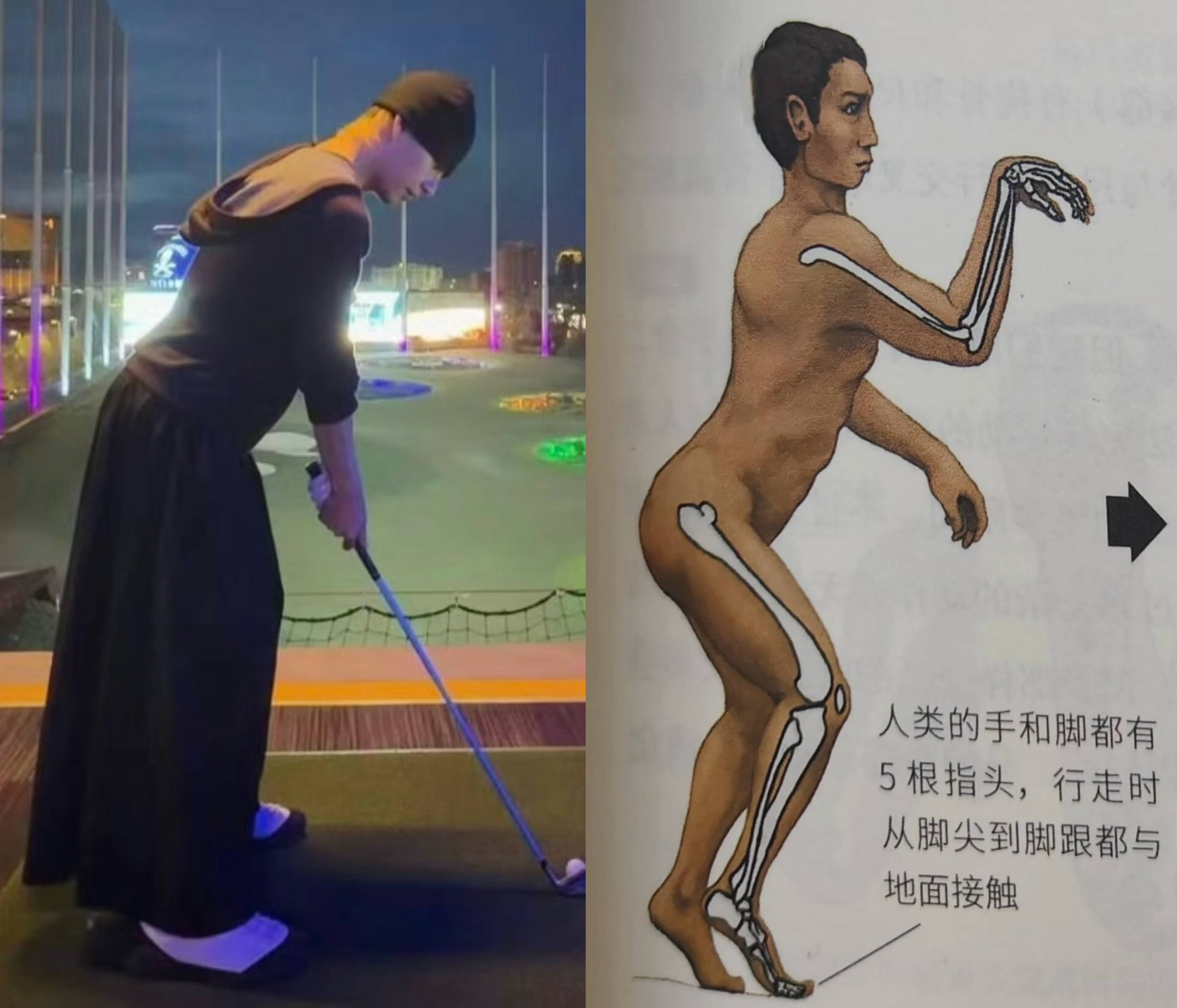 审马积累：当人类换上马的身体 