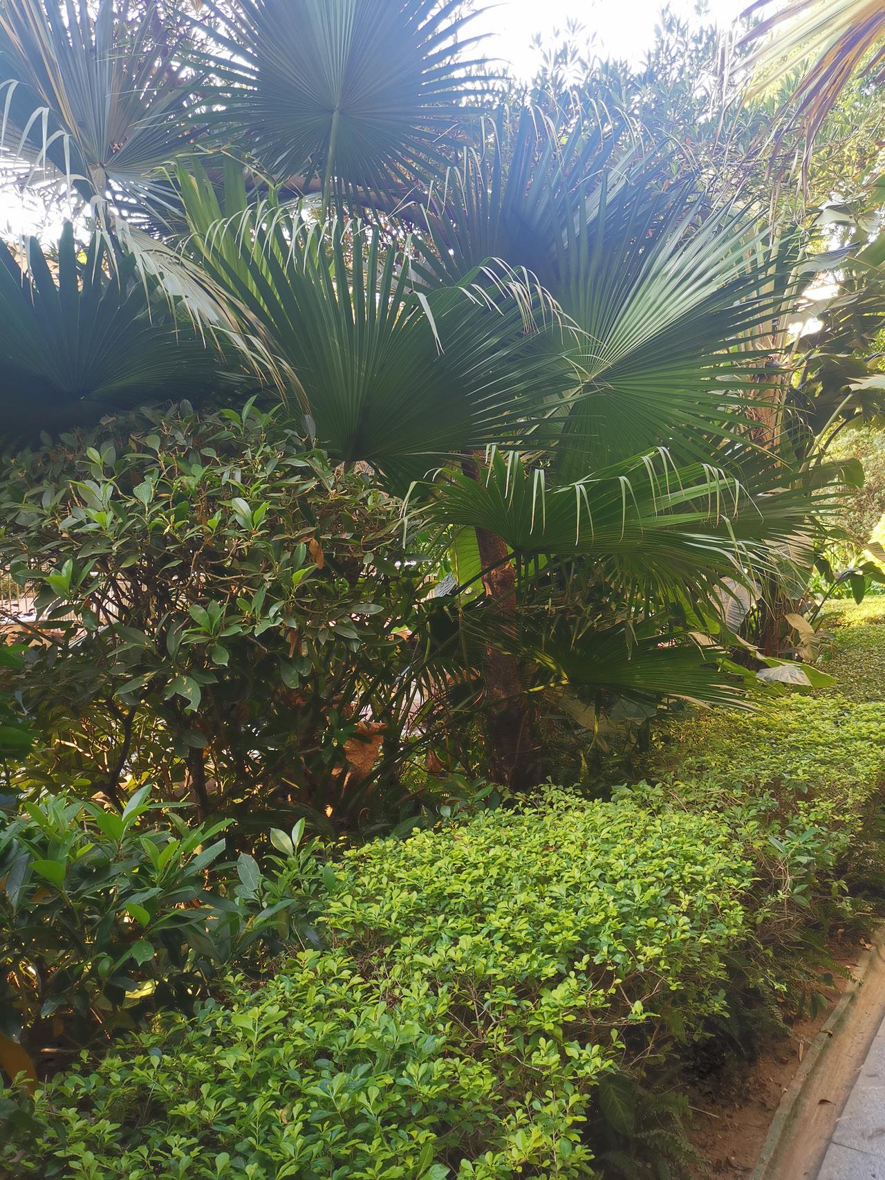 冬日生活打卡季愿这个冬季，温暖相伴！祝头条的师友们幸福安康！开开心心享受美好生活