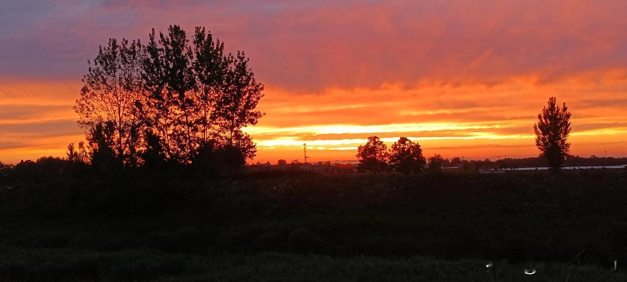 晚霞
赵权力
余晖落地情未了
一抹霞光日将尽
羞涩泛红迎月来
晚景含笑夕阳吟