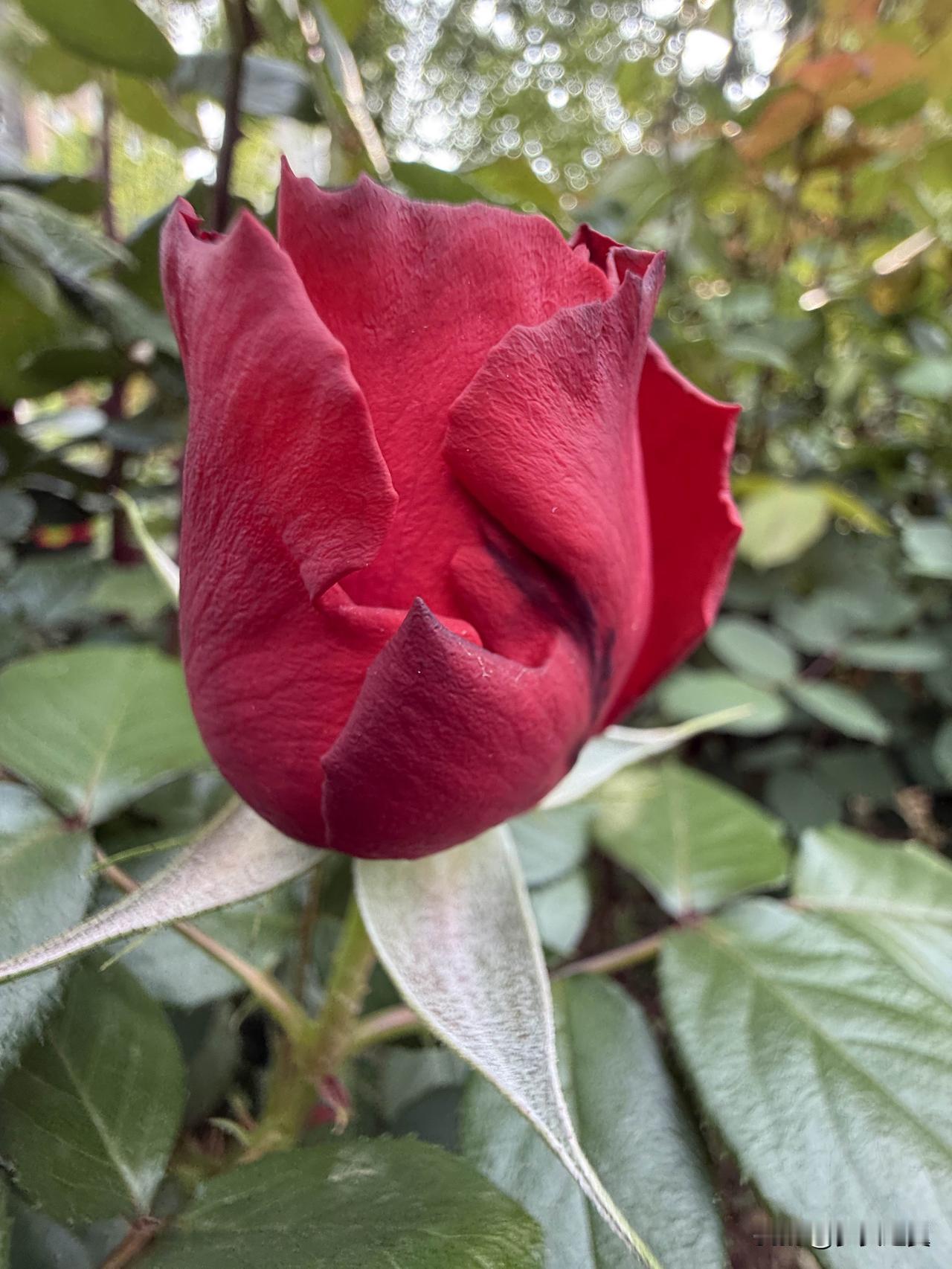 【小对联】
上：倾泄；
下：……？