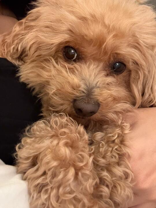 好潦草