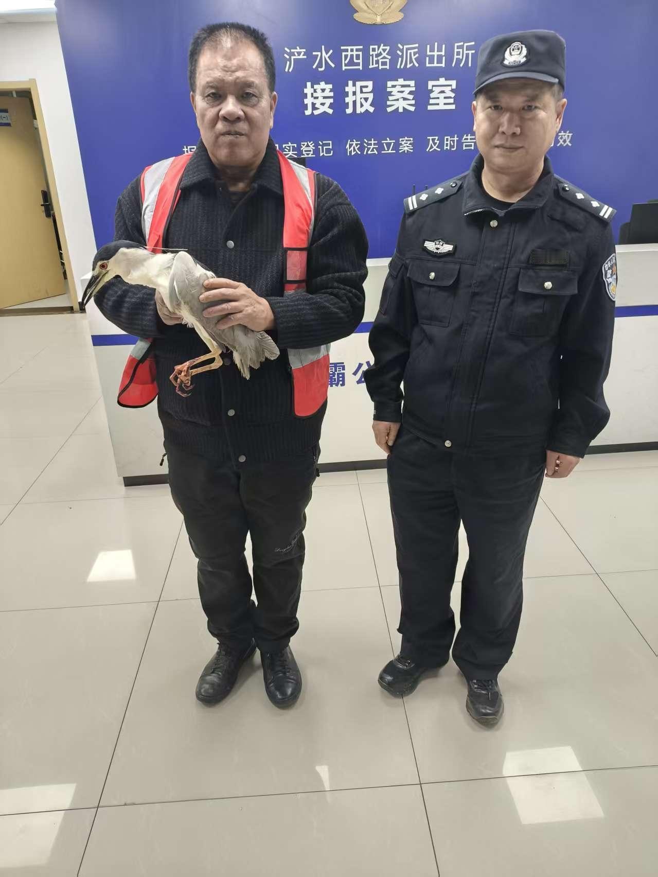 西安浐灞国际港：暖心救助 受伤夜鹭获新生

近日，西安浐灞国际港多部门联动，上演