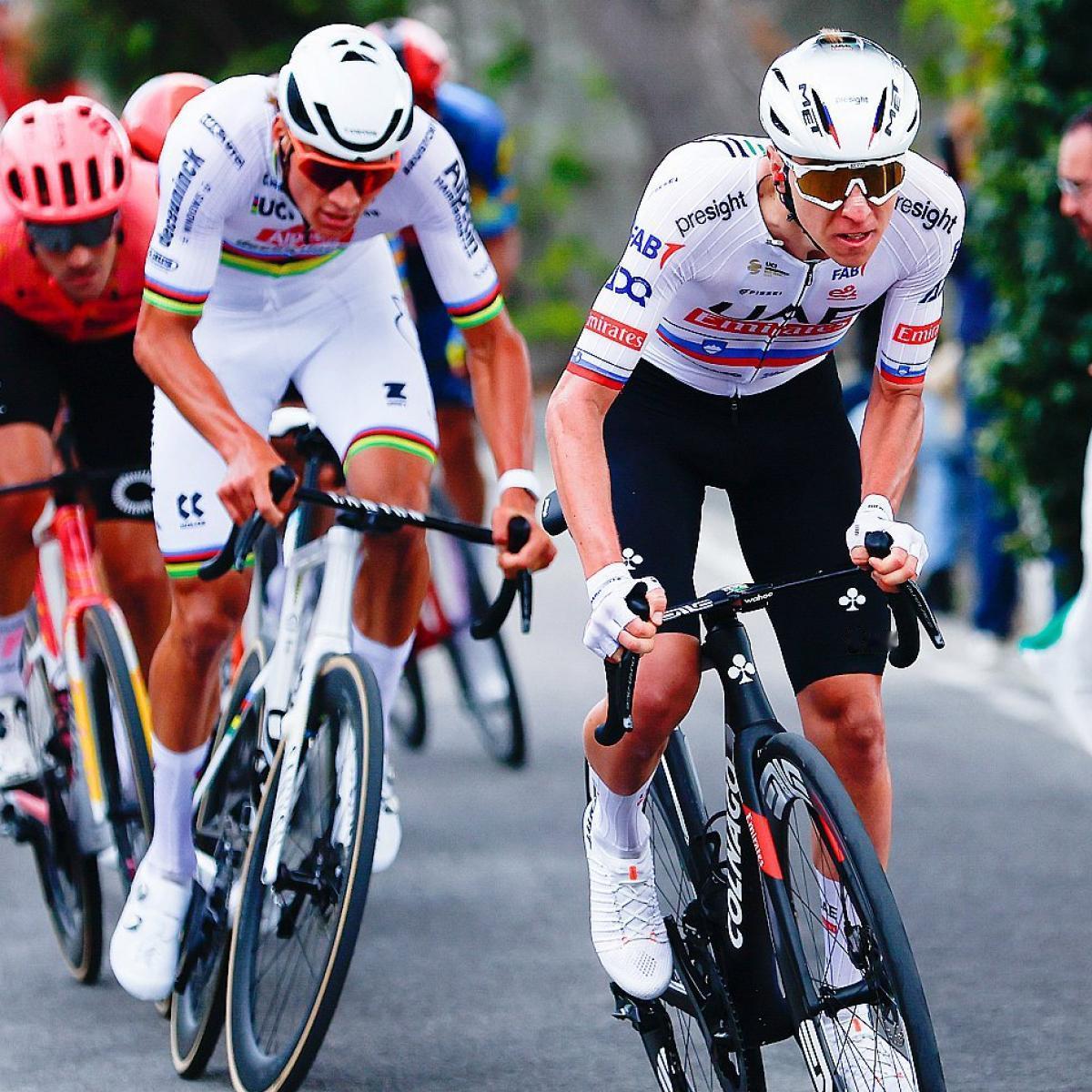 只有四位车手在过去三届米兰-圣雷莫（每届）都进入了前十：波加查莫霍里奇范德普尔佩