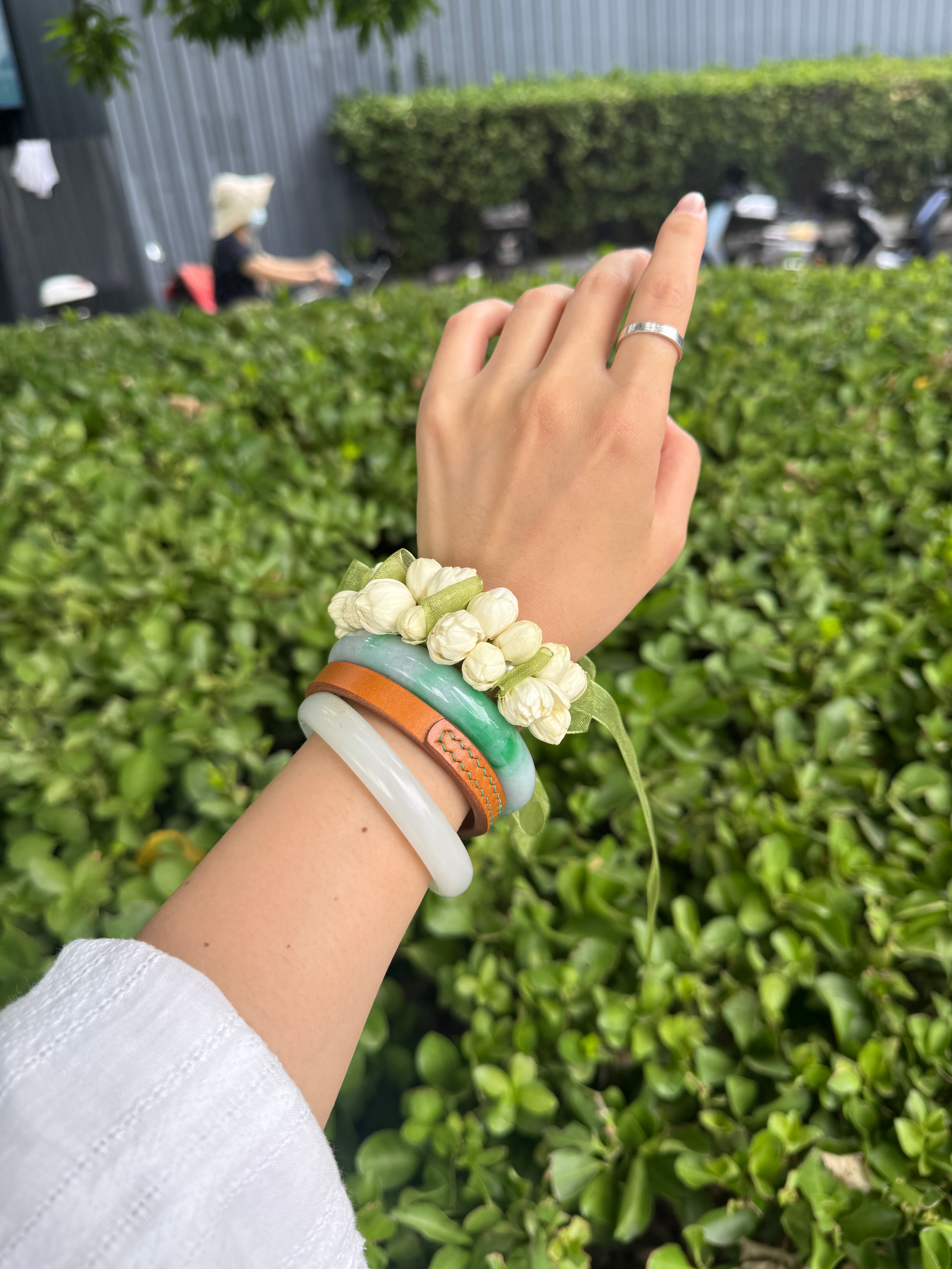 真的茉莉花，好看吗[老师爱你] ​​​