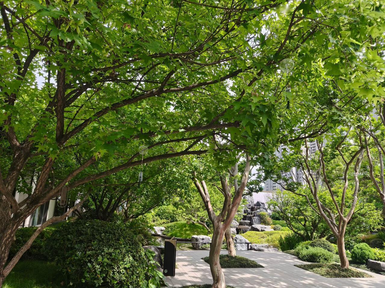 西安保利未央璞悦，​青花引&沁木堂。