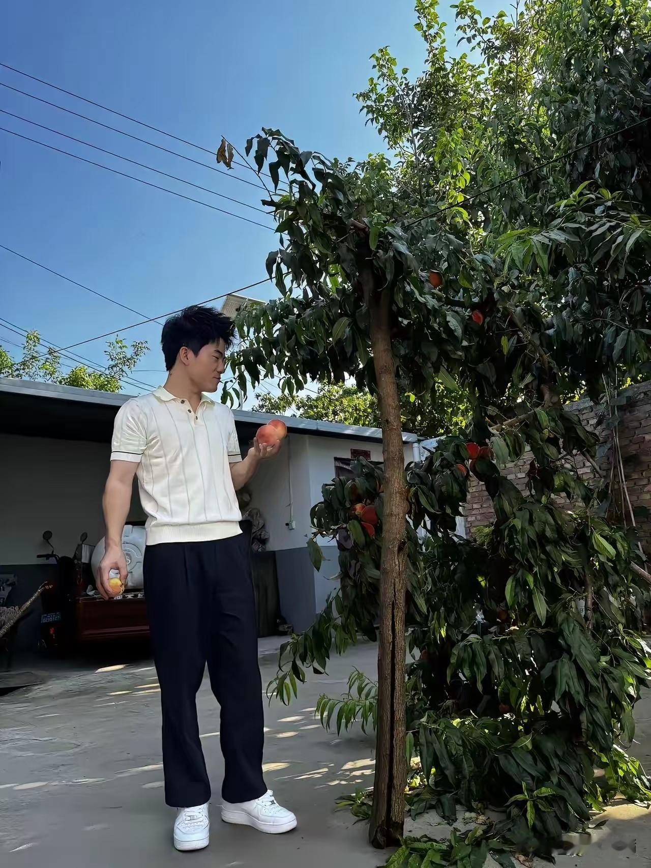 以前觉得“梦想照进现实”是鸡汤，
现在看宇辉晒桃子，
才懂那是顶级凡尔赛的免责声