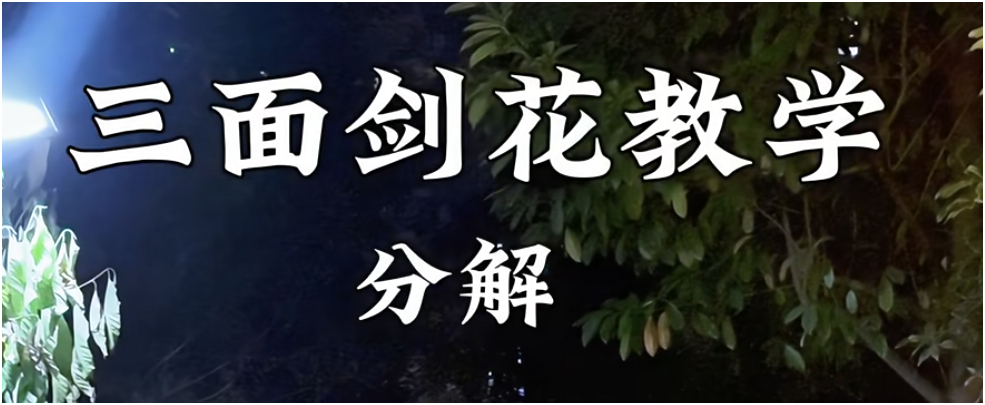 好想拿宿舍的电蚊拍玩这个（ 