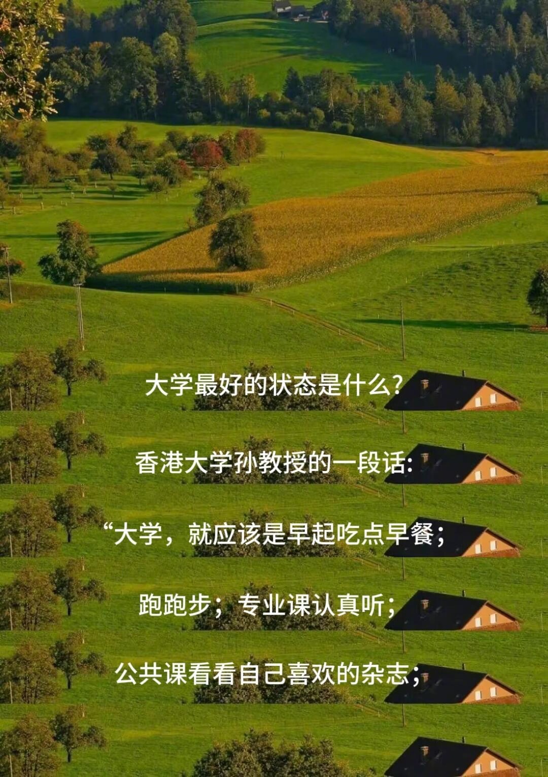 大学最好的状态该是这样的 