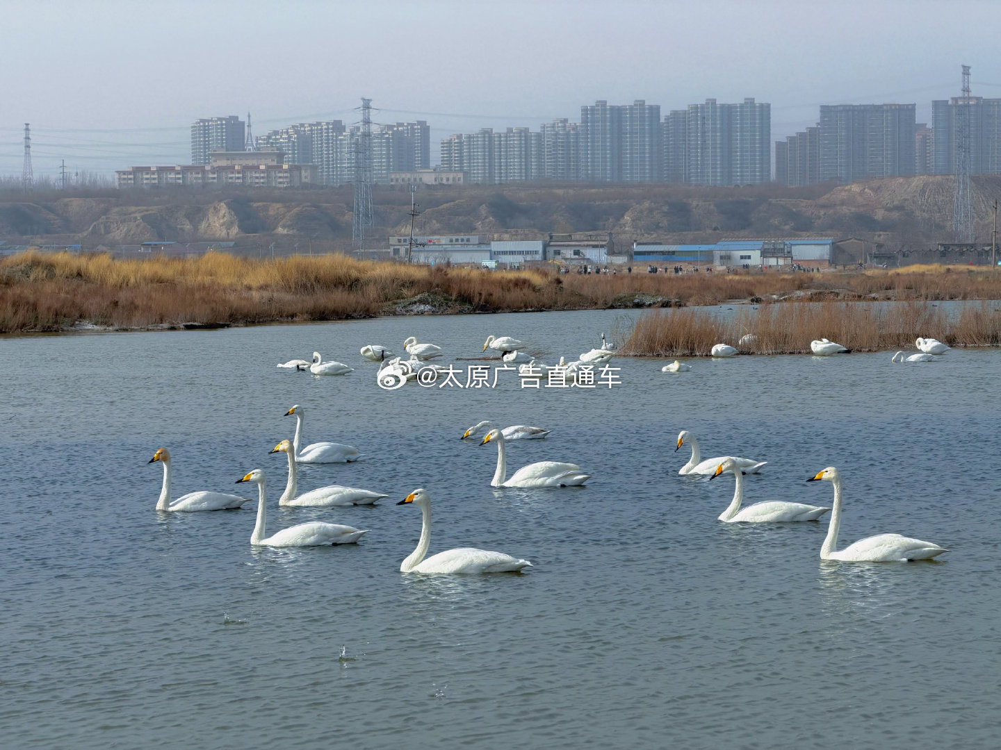 山西深耕湿地保护绘就生态画卷    湿地被誉为“地球之肾”，是涵养水土、净化环境