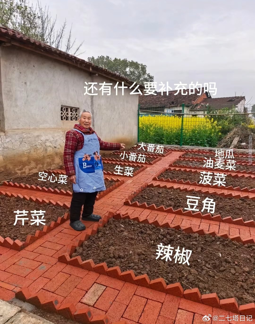 希望我老了以后也能这样 