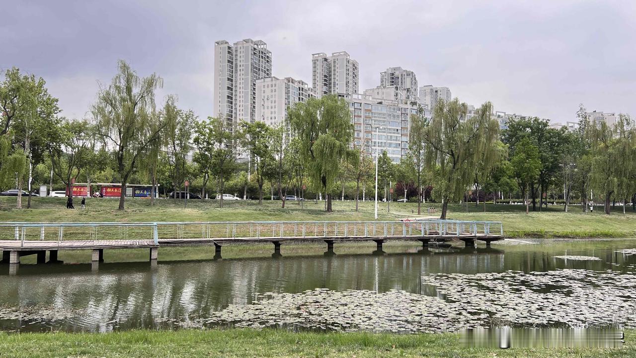 不知道你发现没有，现在社会上很多人喜欢把“风度”“气质”“情商”挂在嘴边，好像这