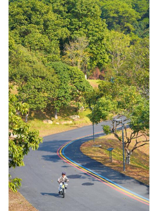 反向遛娃｜黄埔新开绿道❗唯一缺点就是人少