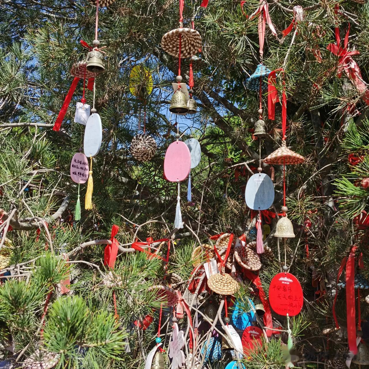  
“赠你一只铃铛，一步一响，一步一想”
“回赠一个风铃，不用也响，不用也想”
