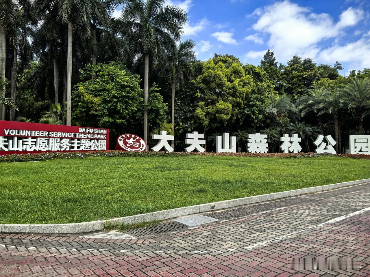 大夫山森林公园赏荷花
公园荷花分享
趁着广州的最高温那一天还没到来（预告今天最高