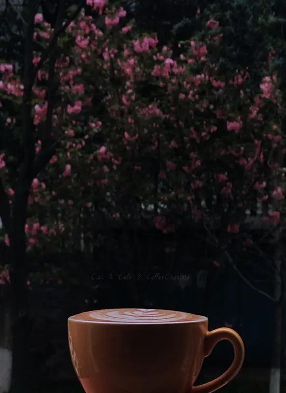 读了洒脱咖啡0Zz的《早春⑩》，诗中描绘的春景极具画面感。云朵与画阁相连，晴空之