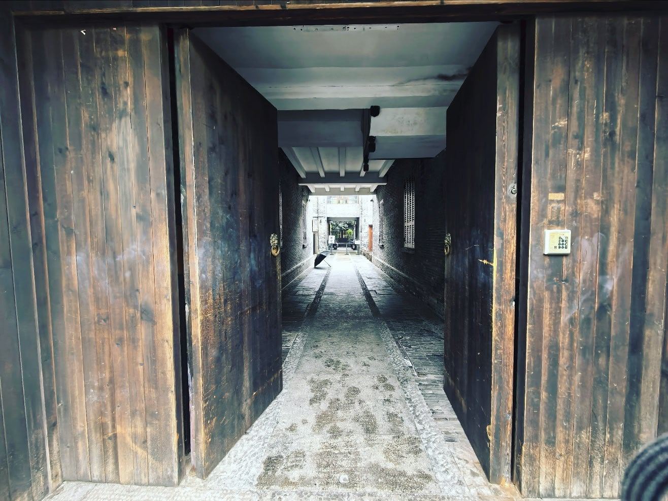 浙江这天气拿人类当剩饭了吧雨中看西湖 