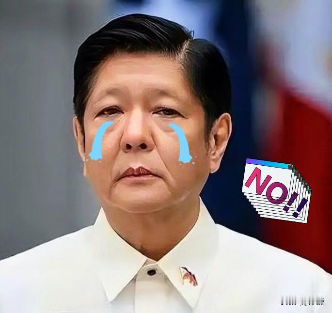 最新资讯
菲律宾正式宣布了

11月11日，菲律宾国家减灾管理委员会发布台风“凤