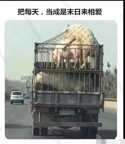 末路狂欢