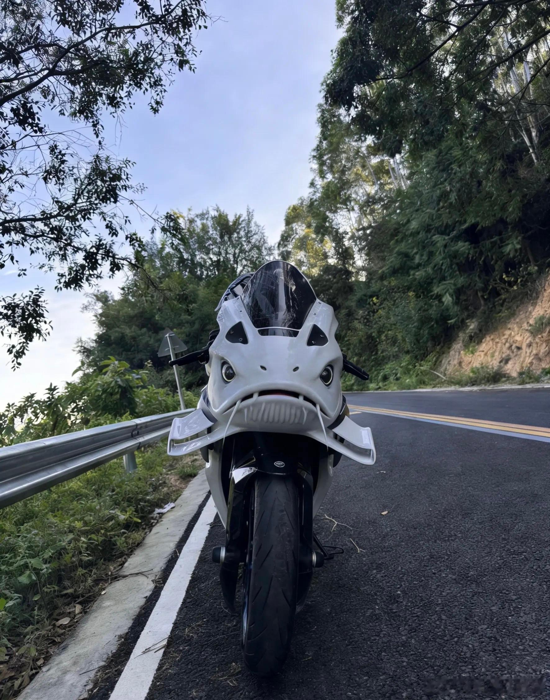 胖哥汽车频道 前几天的小青蛙，这回的大鲶鱼，我还看到了长得像呱呱哇的头盔...不