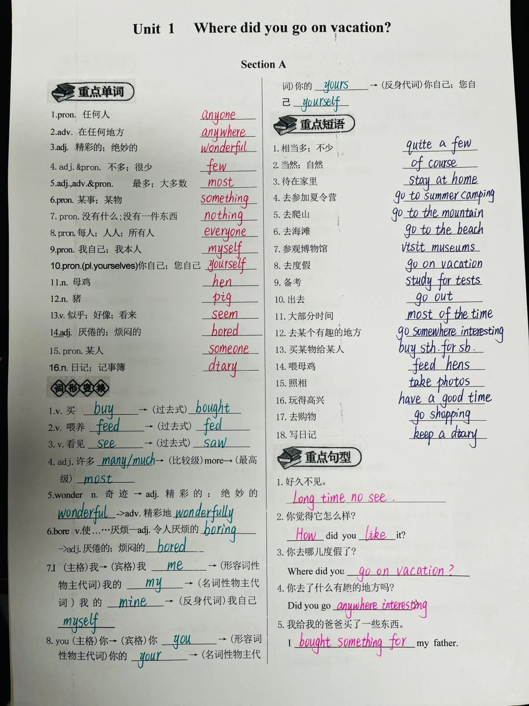 人教版八上单词短语句型练习