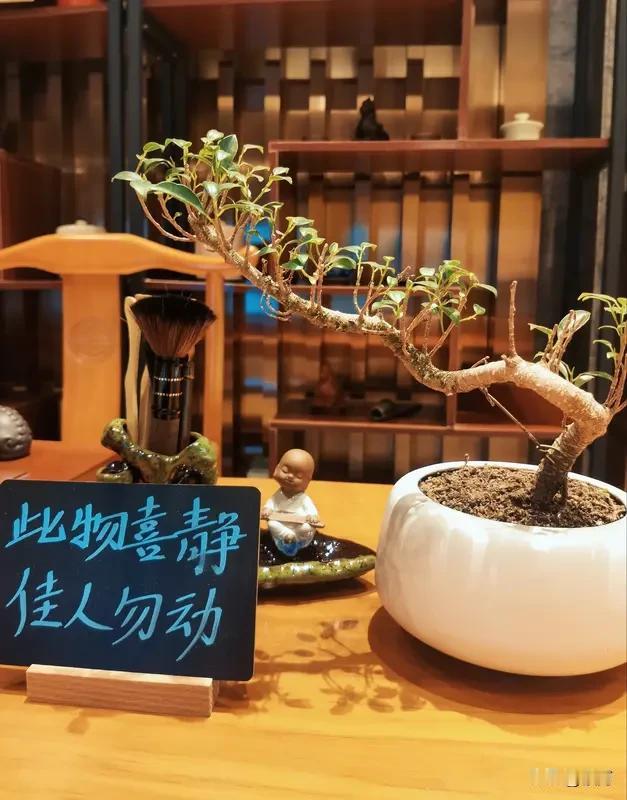 我认同“人生都是客，万事莫执着”。人生在世，不过匆匆过客，像钱财、地位这些身外之