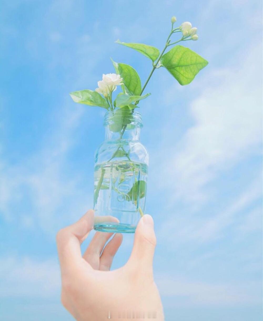 “长暇市天气晴朗，我的消息你都回，我想你一切都好。”——黎深#早安# ​​​