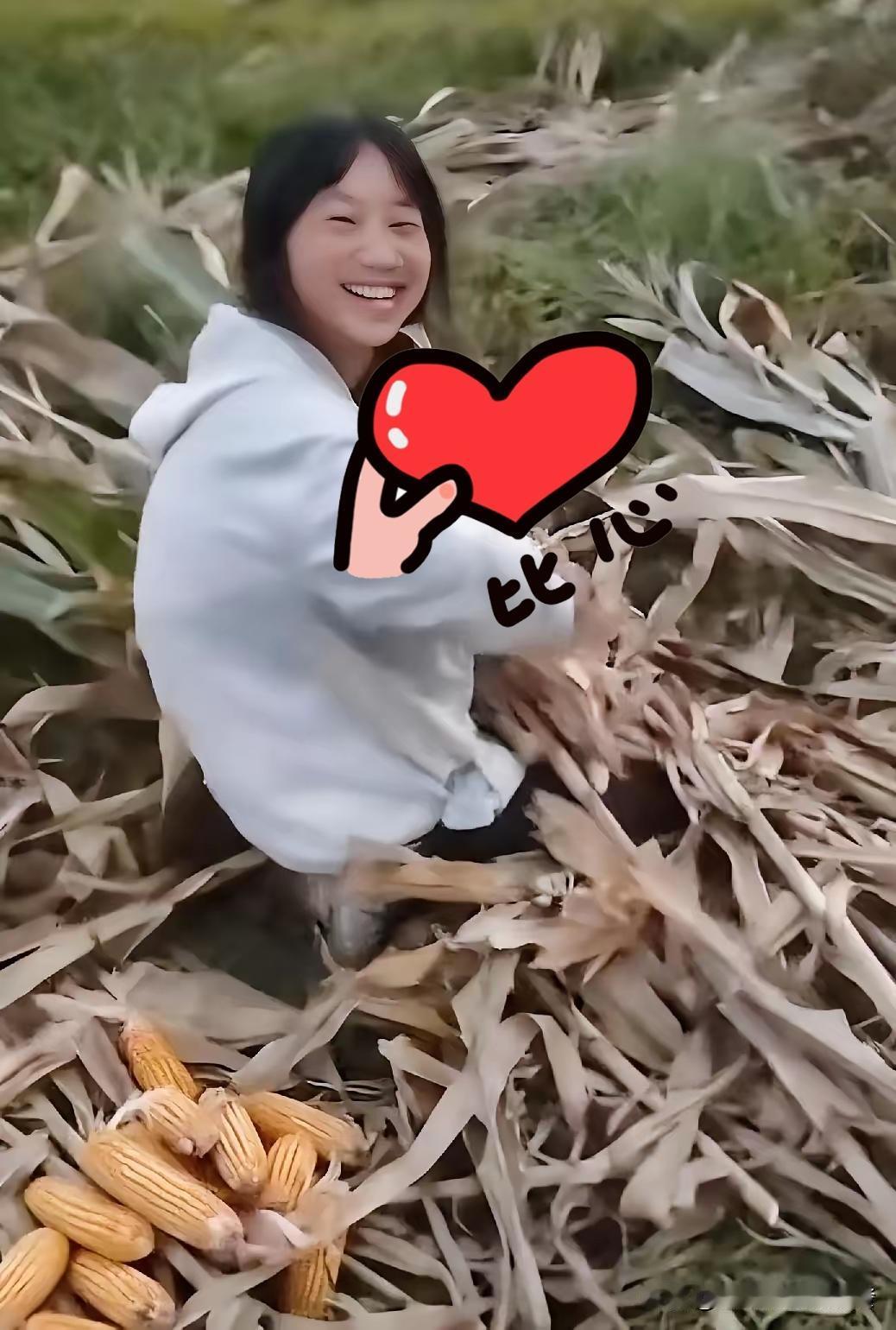 天马上黑了，一女孩仍跪在地里不停地剥玉米，爸爸问她人都走完了，你咋还不回家，没想