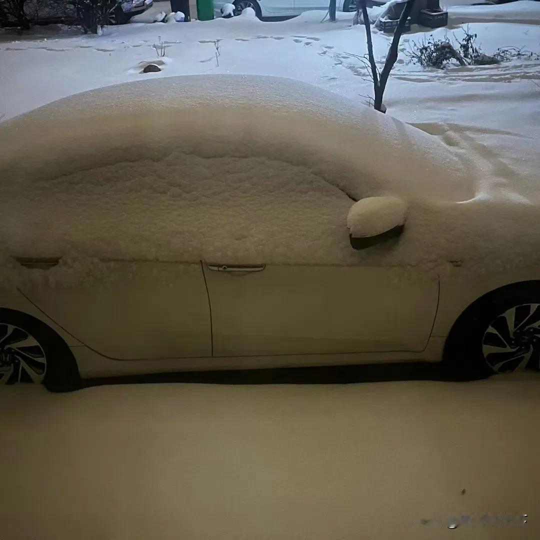 【期盼已久的大雪裹着年味来了，这里是沈阳】2025年1月26日晚，雪花纷纷扬扬飘